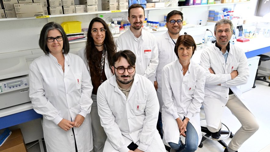 Nicolas Blanchard et son Equipe traquent le parasite de la toxoplasmose, possible accélérateur d’Alzheimer