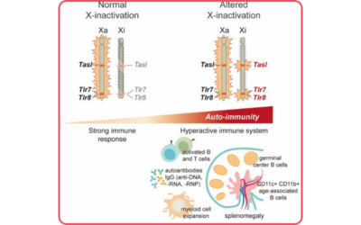 Altered X-chromosome inactivation predisposes to autoimmunity