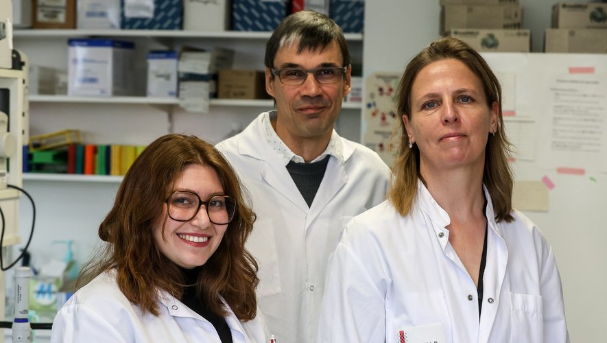 Toulouse researchers have identified a new target for treating asthma